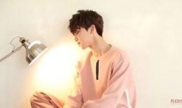 徐明浩洪知秀被爆料视频,真相与争议交织